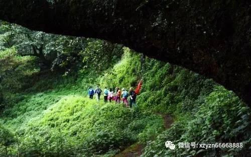 植物大战僵尸13