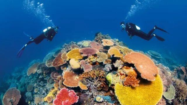 浦江镇 | 寻迹黄浦江前世今生