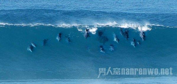 与领导发生正面冲突后你有什么最好的选择？游戏画面