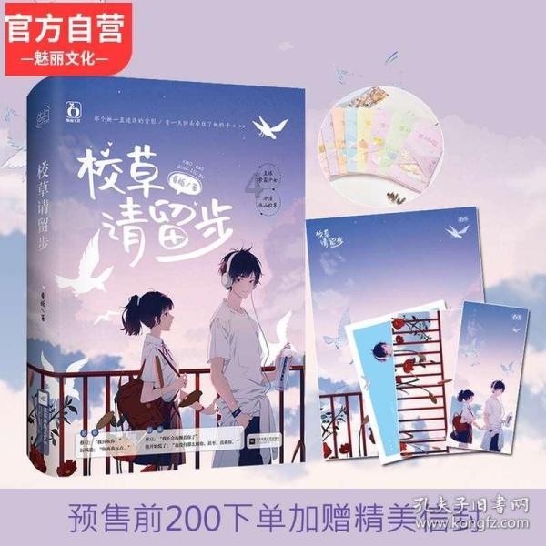 白莲花守则