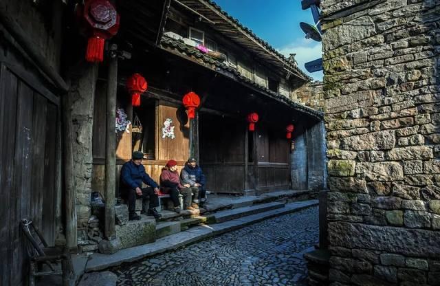 饥饿的松鼠救援
